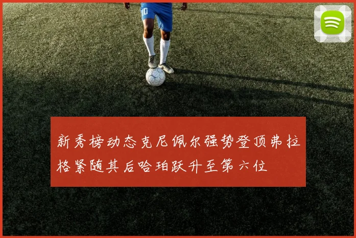新秀榜动态克尼佩尔强势登顶弗拉格紧随其后哈珀跃升至第六位