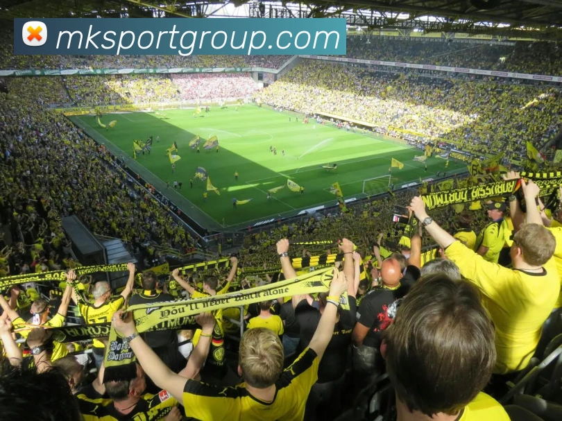 多媒体互动体验