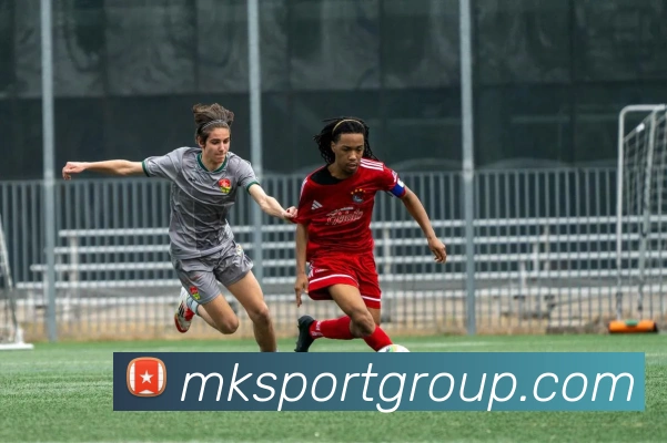 MK体育APP 高清赛事图